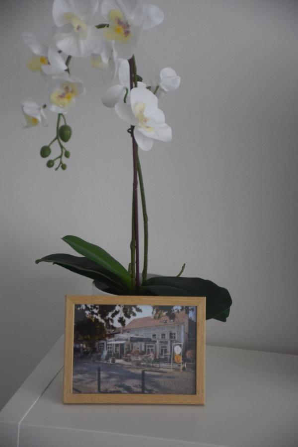 Feel Danube Apartment Zemun エクステリア 写真