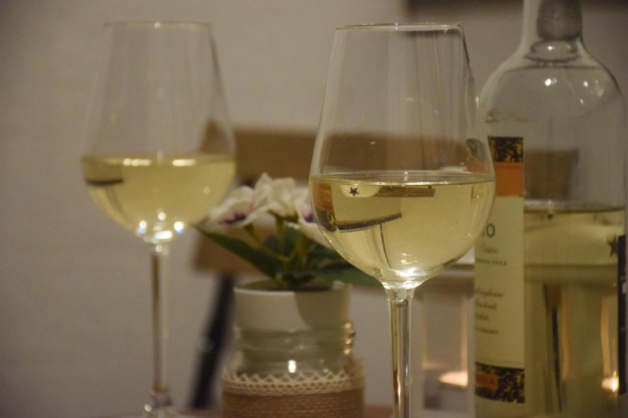 Feel Danube Apartment Zemun エクステリア 写真